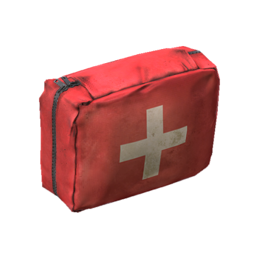 Купить «Аптечка» для сервера DayZ — Demo DayZ Store