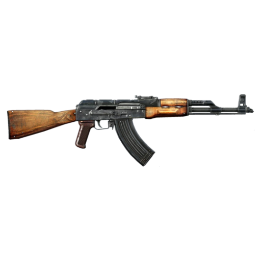 Купить «АКМ» для сервера DayZ — Demo DayZ Store